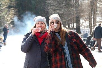 Guided Sugar Bush Tour and Beer Tasting from Toronto