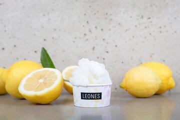 Gelato pleasure workshop with tasting