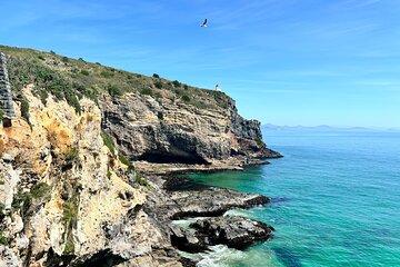天际线 City & Otago Peninsula Scenery Day Tour Sharing