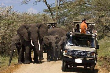 8 Day Safari Tour of Kenya and Tanzania from Nairobi