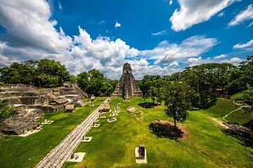 Tikal Private Exclusive Tour