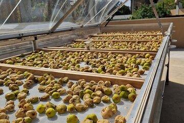 Cilento Local Food Tour: Mozzarella and White Fig Tasting