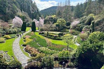 Family Butchart Gardens and City Adventure