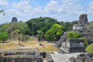 Guided Tour of Tikal from Flores or Airport Private Service