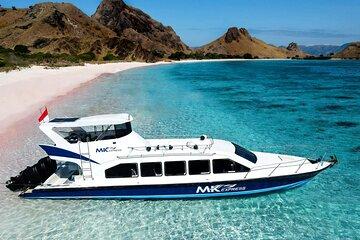Full Day Komodo Tour With MK Express Speedboat Visit 6 Spot