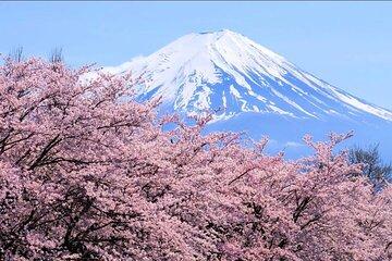 Mount Fuji and Hakone 1 Day Tour with English Speaking Driver