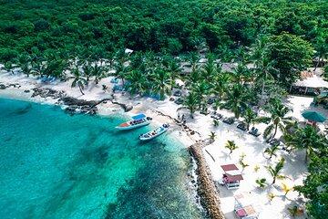 Isla Saona Speedboat Tour: Snorkeling with Turtles & Beach Escape
