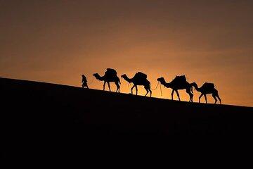 Marrakech to Fez: Sunset Camels & Sahara Dreams
