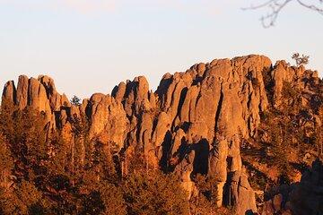 Just You and Your Group. Custer's Wildlife & Night Skies