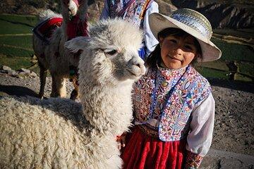 2 Days Colca Canyon Tour