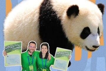 1 Day Dujiangyan Panda Care Tour