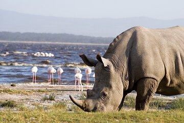Day Tour To Lake Nakuru With Optional Boat Ride In Naivasha