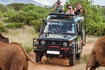 13-Day Best of Kenya Wildlife Safari and Zanzibar Beach Holiday