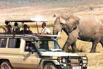 7-Day Off the Beaten Path - Luxury Safari on 4WD
