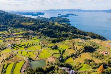 Spectacular terraced rice field walking experience