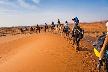 Ouarzazate to Merzouga: Kasbahs, Gorges & Desert Trip - 3 days
