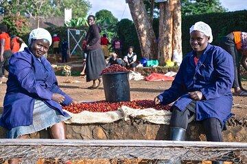 Nairobi Fairview Coffee Farm Tour and Tasting experience