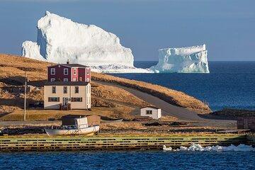 Private Cape Spear and St. John's Photography Tour