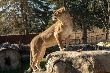 Skip The Line Great Plains Zoo Admission Ticket
