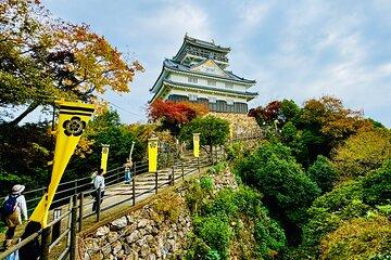 2 Hour Private Scenic Mountain Castle Tour in Gifu