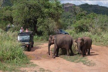 Safari Jeep in Hurulu Eco Park Sri Lanka wit Pigeon Island Tours