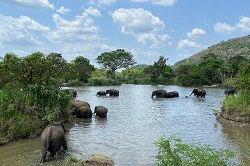 Safari Jeep in Hurulu Eco Park Sri Lanka wit Pigeon Island Tours