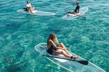 Paddle Through Paradise on a Transparent Paddleboard.