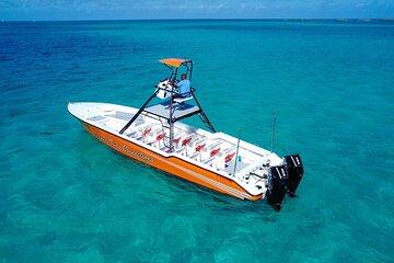 Swimming Pigs, Snorkeling and Beach Tour in Nassau Bahamas