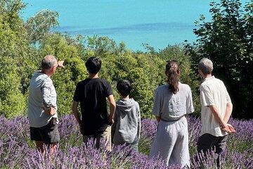 Arataki Conservation - our Journey to Protect our Whenua (land)