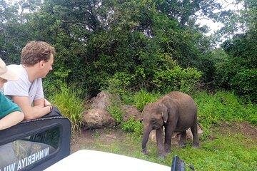 Hurulu Eco Park Safari