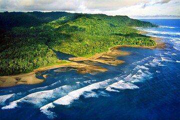 5-Day Corcovado National Park Tour with a Renowned Biologist