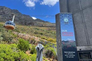 Cape Town Table Mountain Cable Car Half-Day Tour Tickets Only