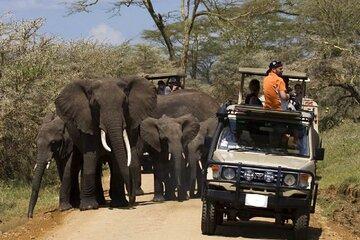 4 Days Masai Mara Mid Range Explorer 4WD Small Group Tour