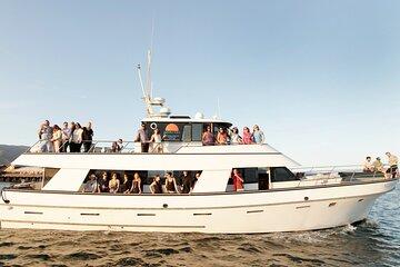 Whale and Wildlife Yacht Cruise in Santa Barbara