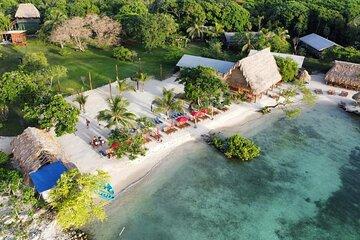 Most popular: All in one ,zipline,animal park,Guided snorkeling tour and beach