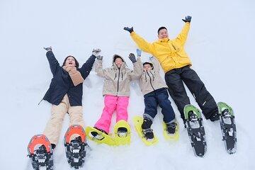 Snowshoe Experience in Akita Yuzawa Winter Park with an Akita Dog