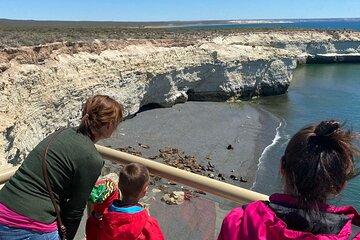 City Tour with sea lions in Puerto Madryn.