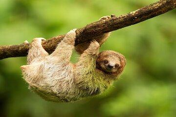 Roatan Explore and Relax Tour