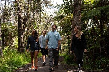 Hawaii Sightseeing Tour Experience