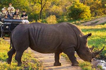 Cape Town To Vic Falls Explorer