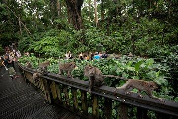 Tegenungan Waterfall Denpasar Private Tour