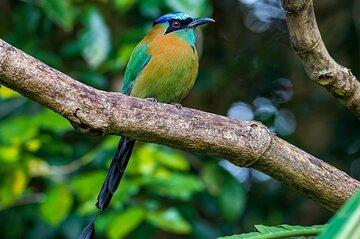 Curi Cancha Nature Experience