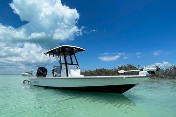 Private Tampa Fishing Adventures Awaits You