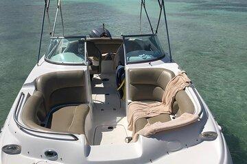 Private Snorkeling Adventure on South Aruba