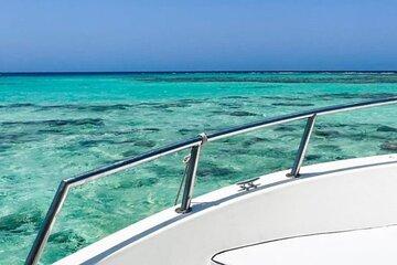Discover the Secrets of the Sea on a Boat Trip to Bayada Island
