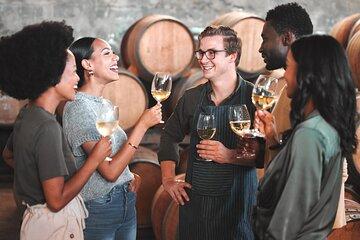 Langhe wine Experience with Lunch from Milan