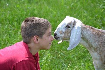 Small Group Goats and Gardens Tour