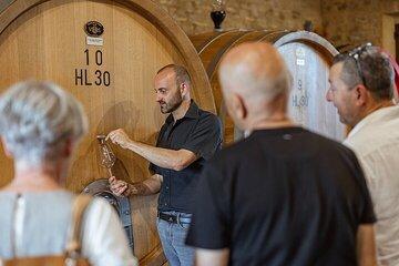 From Florence Brunello di Montalcino Wine Tour with Lunch