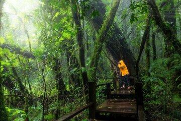 Doi Inthanon National Park and Elephant Sanctuary