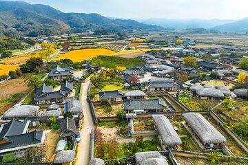 Andong Best Customized Private tour with tourguide
